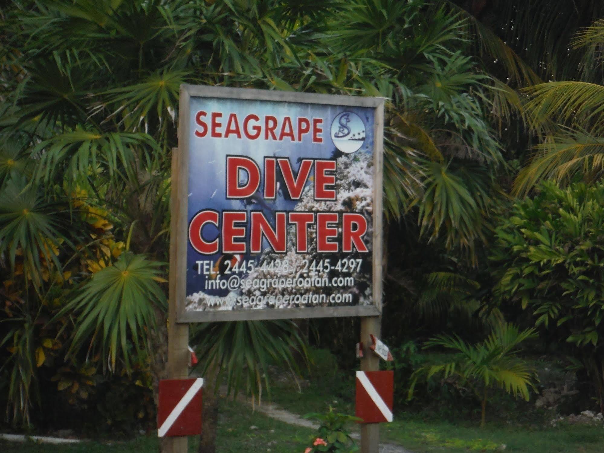 Seagrape Plantation Resort & Dive Center เวสต์เอนด์ ภายนอก รูปภาพ